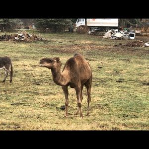 Meet your Posher, Justin